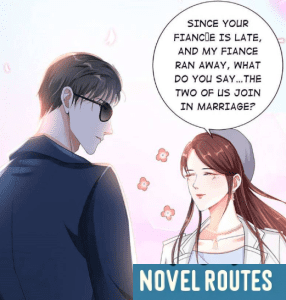 Full Marks Hidden Marriage Novel Review: SuperStar MC + Billionaire