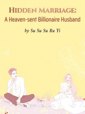 hidden marriage a heaven sent billionaire husband