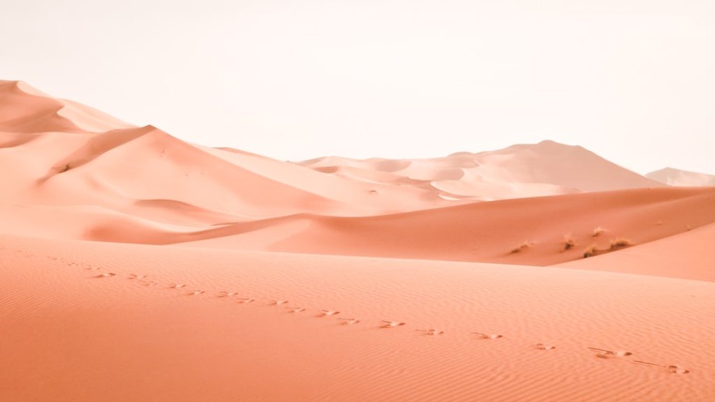 desert photoshoot 1