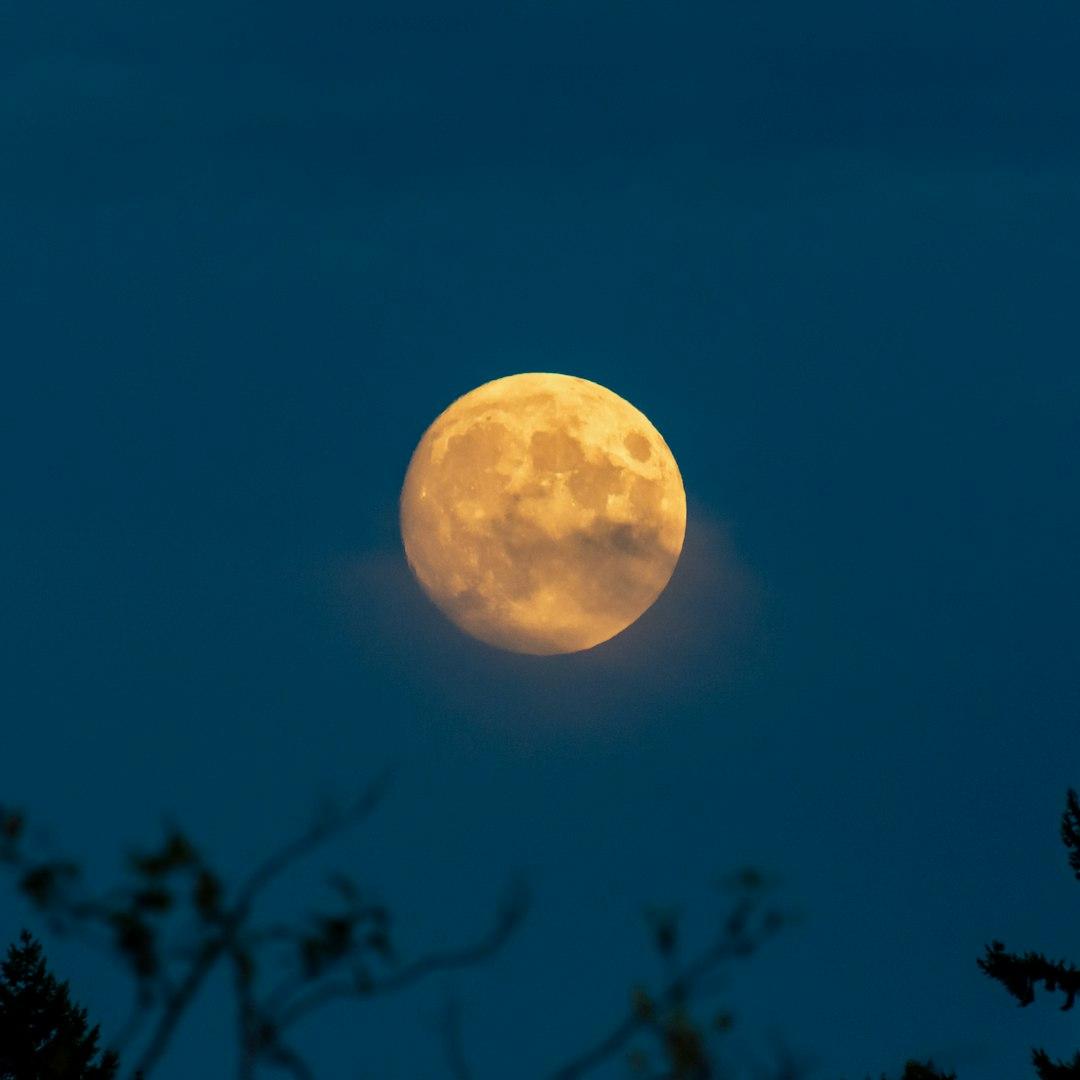 moon on beautiful night 2